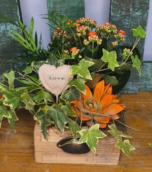 Cajón cuadrado de madera