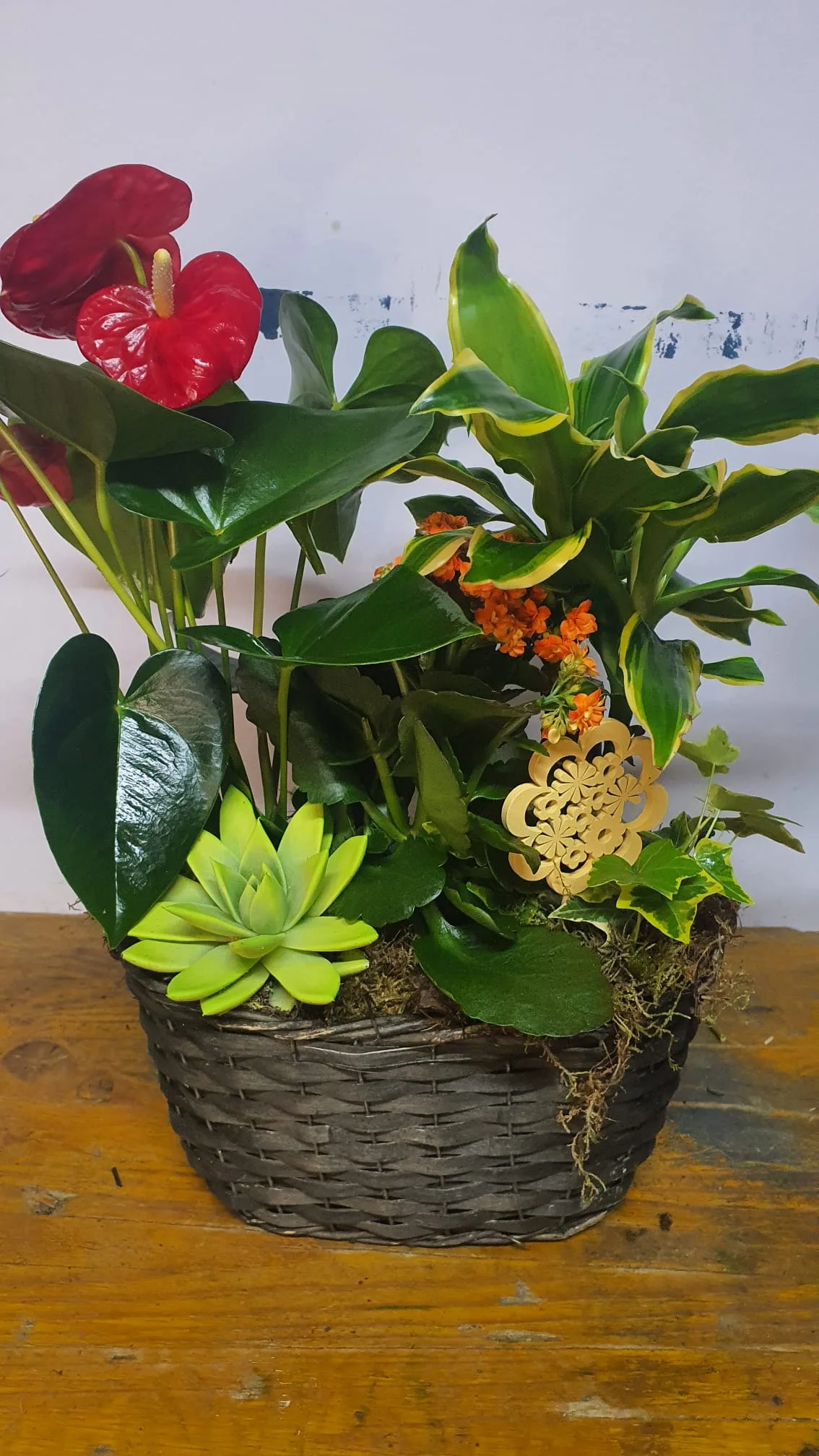 Cesta de planta variadas - Imagen 3