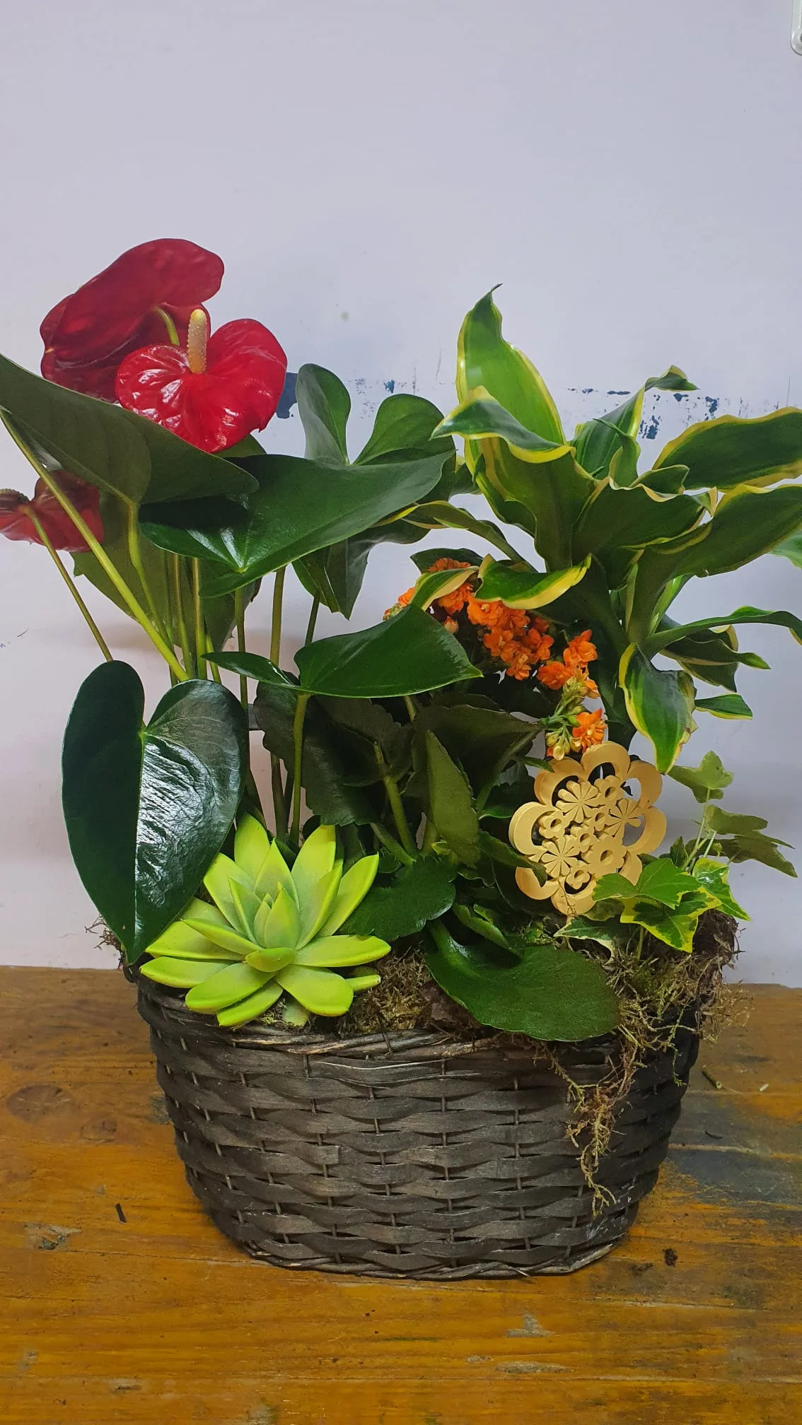 Cesta de planta variadas