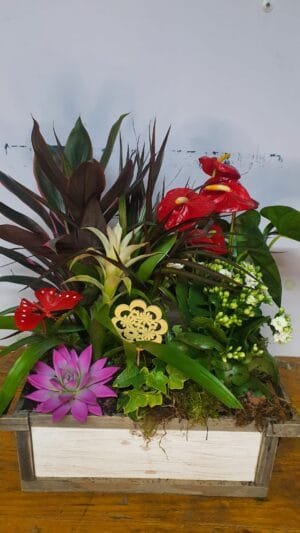 Cesta de plantas naturales