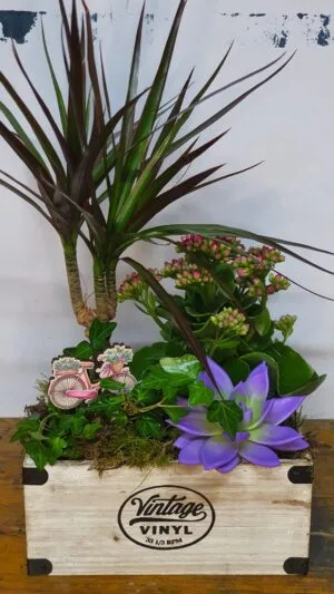 Cesta de plantas variadas 2