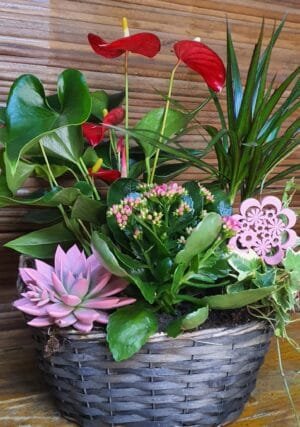 Cesta de plantas naturales