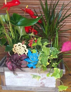 Cajón de plantas naturales