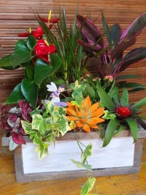 Cajón de plantas naturales