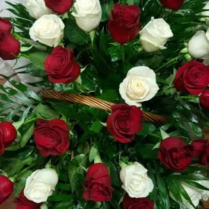 Cesta de 18 rosas
