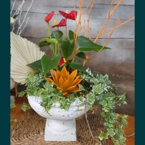 Copa de plantas