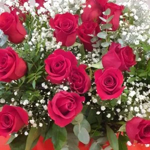 Ramo doce rosas rojas