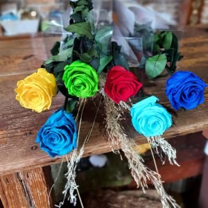 Rosas preservadas